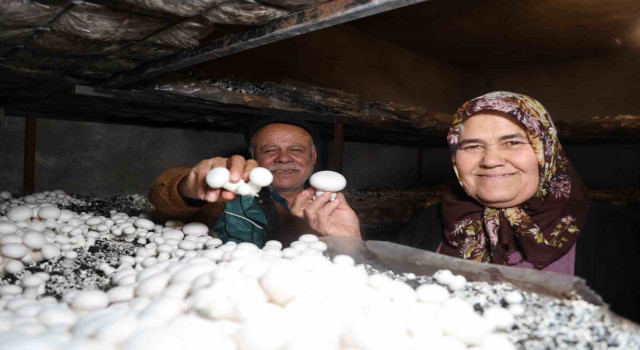 Emekli olunca hobisi ekmek teknesi oldu