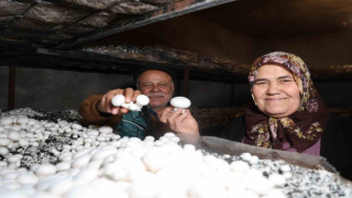 Emekli olunca hobisi ekmek teknesi oldu