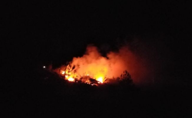 Adana’daki orman yangını söndürüldü