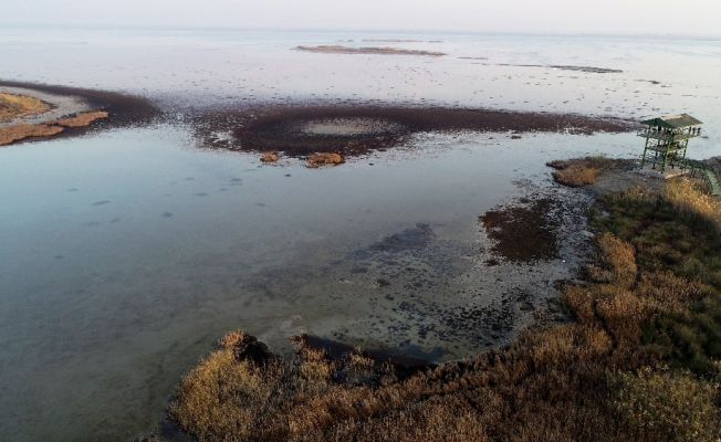 Doğa harikası lagün mikrop saçıyor