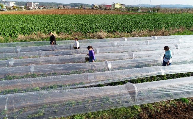 Korona virüsün stresini burada atıyorlar