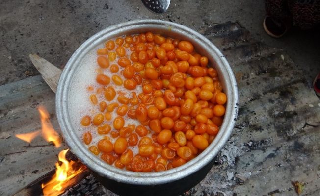 Odun ateşinde kazanlar kamkat reçeli için kaynadı