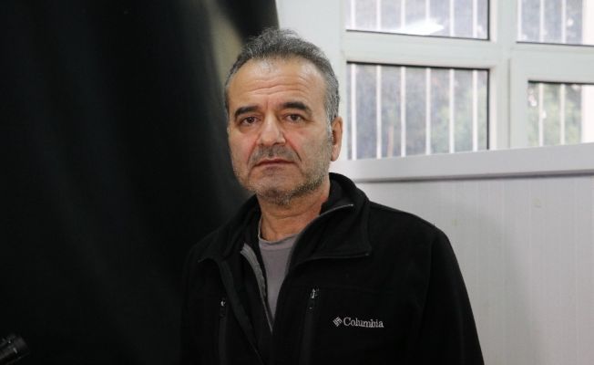 Adana’da görülen balina ve ay balığına uzman görüşü: Anormallik yok