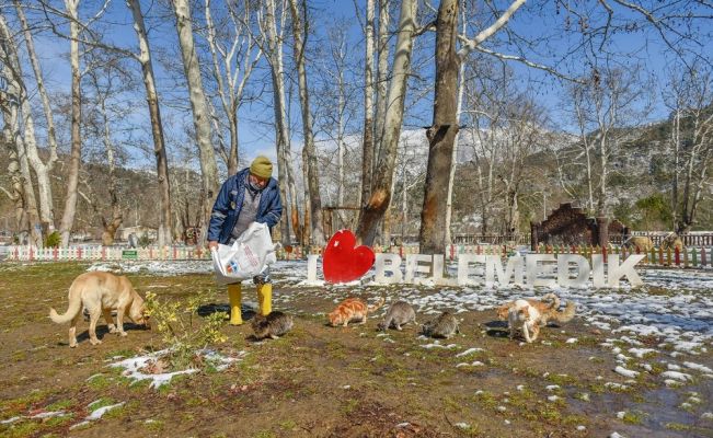 Büyükşehir karla mücadele ediyor, sokak hayvanlarını besliyor