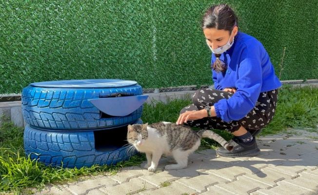 Sokak kedileri de açıkta kalmayacak