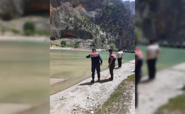 Adana’daki balık ölümlerine dereye sızan sıvı beton neden olmuş