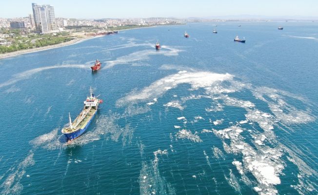 Deniz salyası ve balık ölümlerinin nedeni su sıcaklığının artması