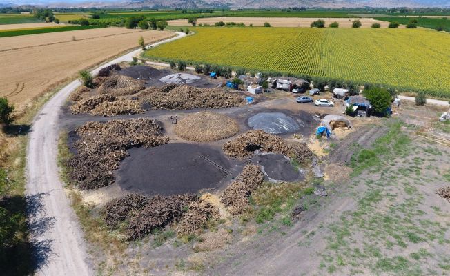 Portakal ağaçlarının kömür yolculuğu başladı