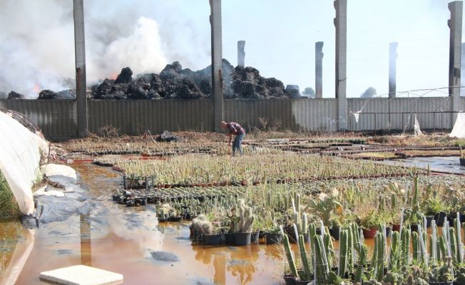 Adana’da geri dönüşüm tesisindeki yangın kontrol altına alındı