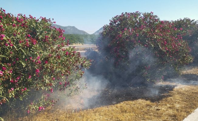 Araçlardan atılan izmaritler yangına sebep oluyor