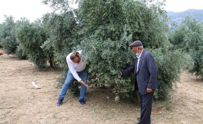 Kozan’da hasar tespit çalışmalarına başlandı