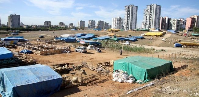 Çukurova’da kurban satış yerleri belirlendi