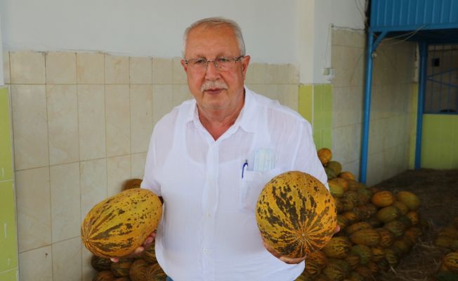 Kurban Bayramı öncesinde sebze ve meyveye zam yok