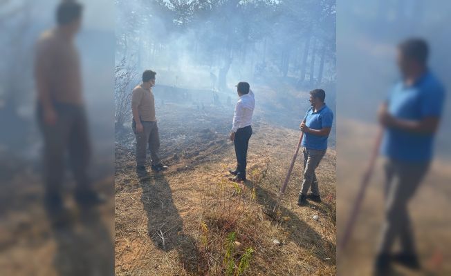 Adana’da çıkan orman yangını büyümeden kontrol altına alındı