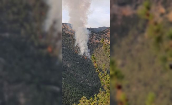 Adana’nın Saimbeyli ilçesinde orman yangını