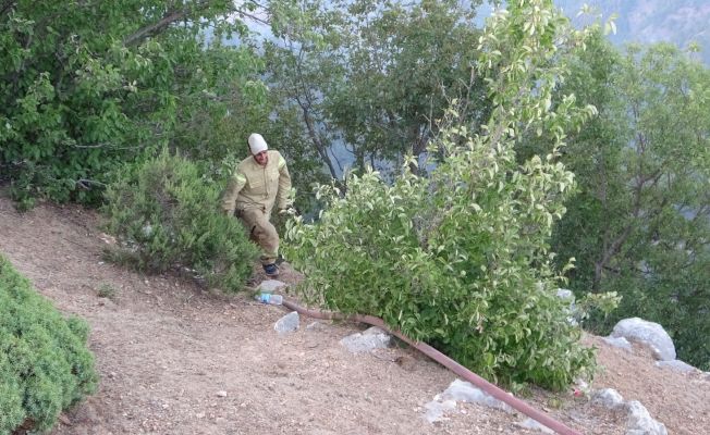 Alevlere kafa tutan yeşil vatan savaşçıları