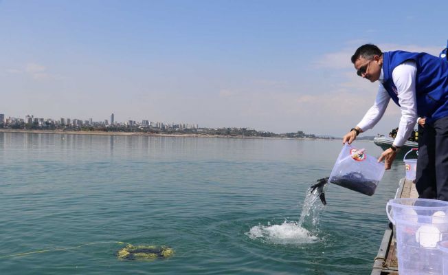 Bakan Pakdemirli Adana’da göle balık bıraktı