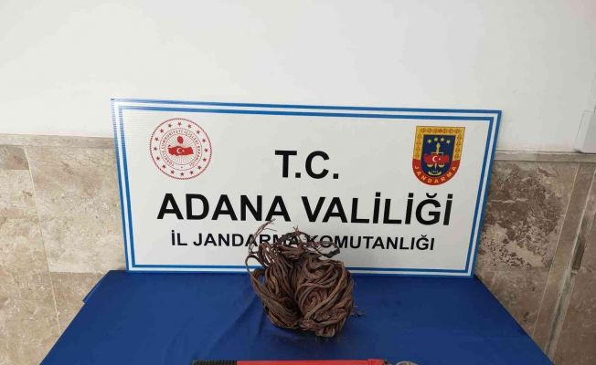 Kablo hırsızı jandarma tarafından yakalandı