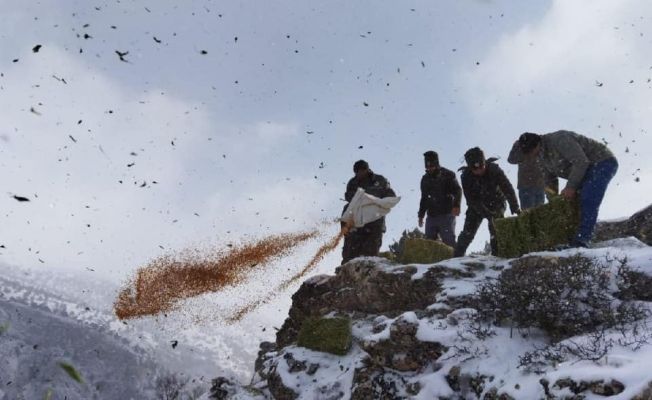 Adana’da yaban hayvanlarına yem desteği