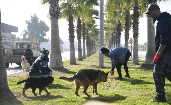 Adana’da sokak hayvanları unutulmadı