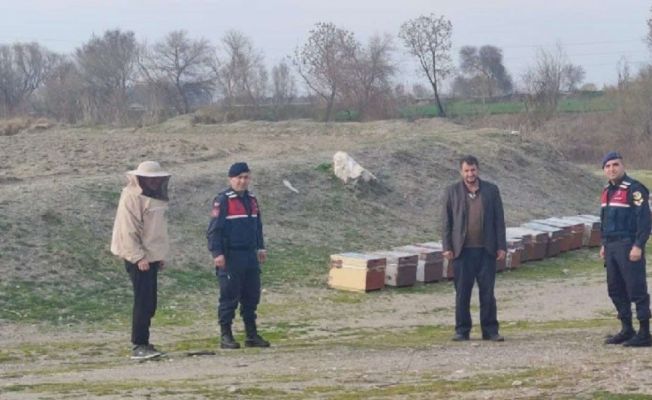 Çalınan arı kovanları bulundu