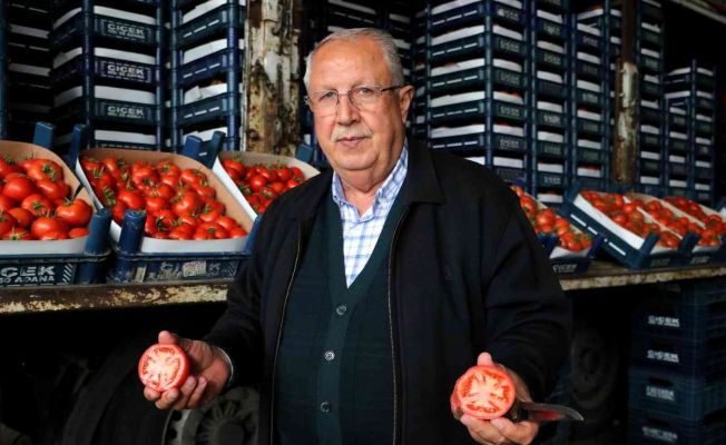 Savaş vatandaşa yaradı: Kilosu 25 liradan 4 liraya düştü