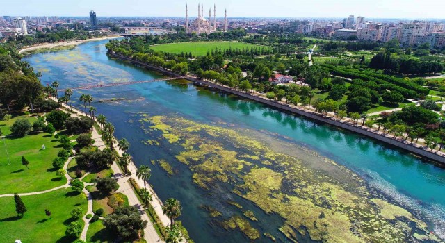 Seyhan Nehri’ni yosunlar istila etti