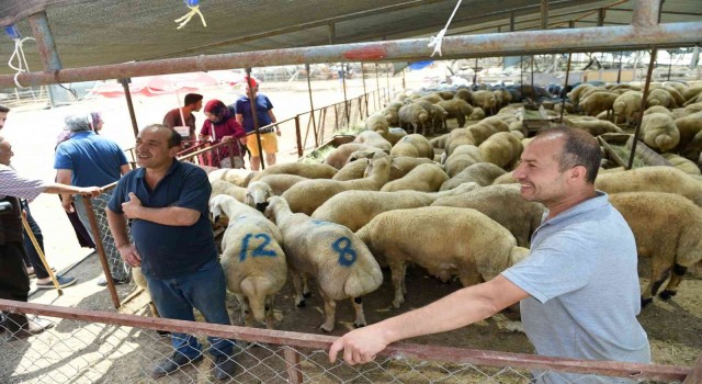 Seyhan’da ”ücretsiz kurban kesim” hizmeti