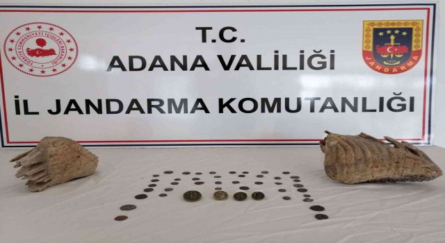 Adana’da mamut fosili ele geçirildi