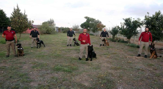 Ağırlığının 6 katı uyuşturucu buldu