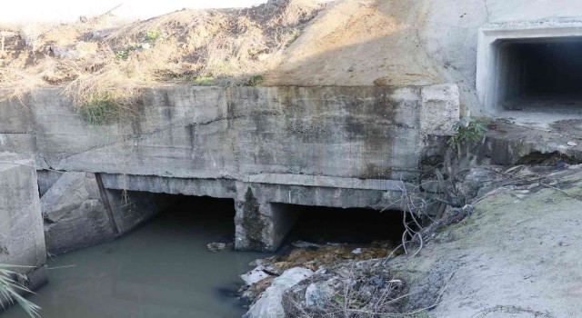 Sulama kanalında eşek kafası ve sakatatları çıktı