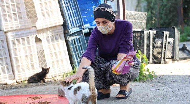 Kanser hastası kadın hayata hayvanlarla tutunuyor