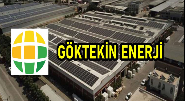 Adanalı enerji devi 'Batık değiliz' dedi, konkordato İstedi