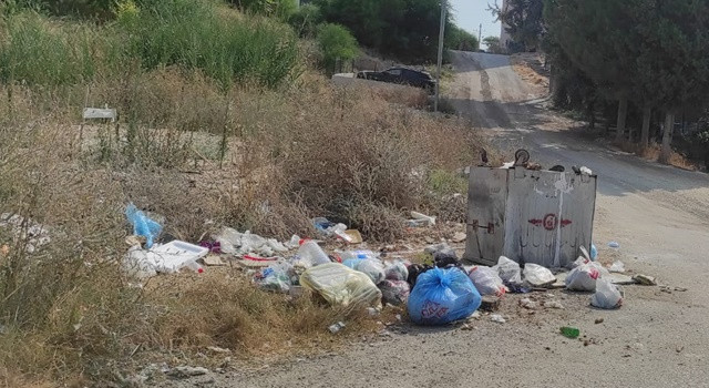 100. Yıl sakinleri feryat ediyor: Çöpler yığıldı, kokudan durulmuyor, Köpek sürüleri kol geziyor. Büyükşehir Neredesin?