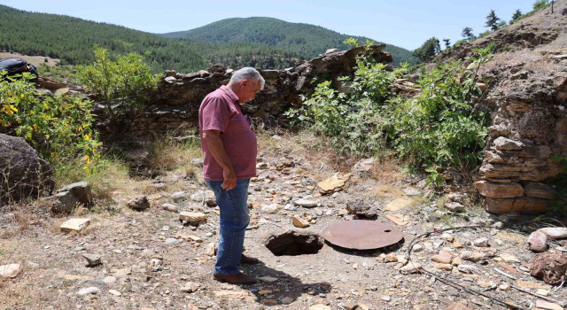 Feke'de esrarengiz hayvan ölümleri yaşanıyor