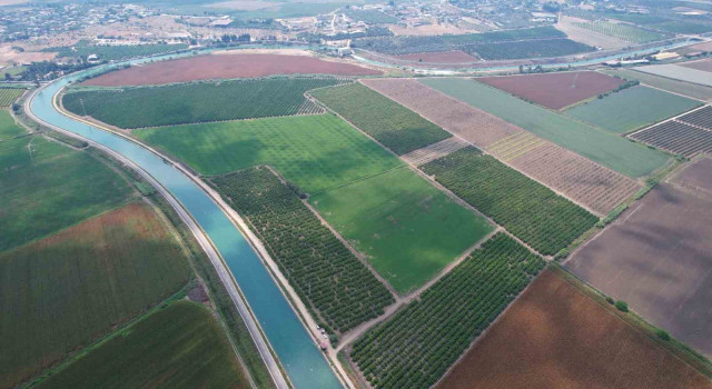 Sarı felaket kapıda: 40 santimetre kaldı