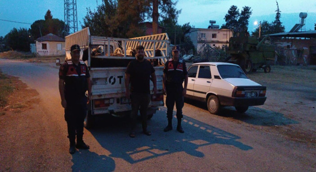 Koyunları çalıp sattı pavyonda eğlenirken yakalandı