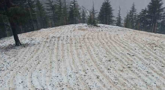 Kozan ve Feke'de tarım arazileri beyaza büründü