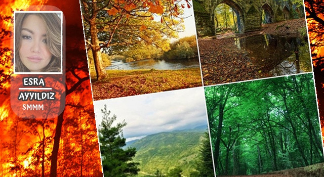 Birlikte Yeşert! Birlikte Yaşat! Yanan orman alanları imara açılmamalıdır!