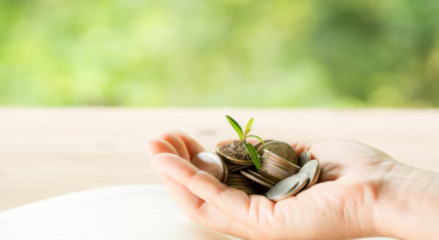 Zekat Bağışı Yapmanın Yolları Nelerdir?