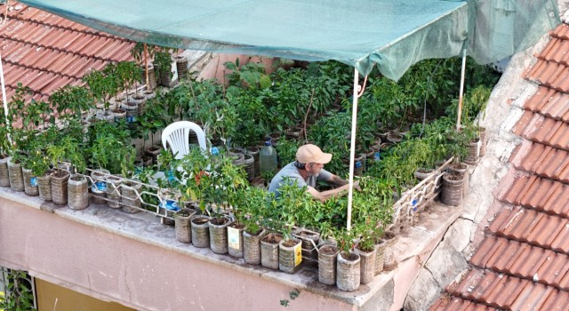 18 metrekarelik terasını bahçeye çevirdi, 8 saatini burada harcıyor