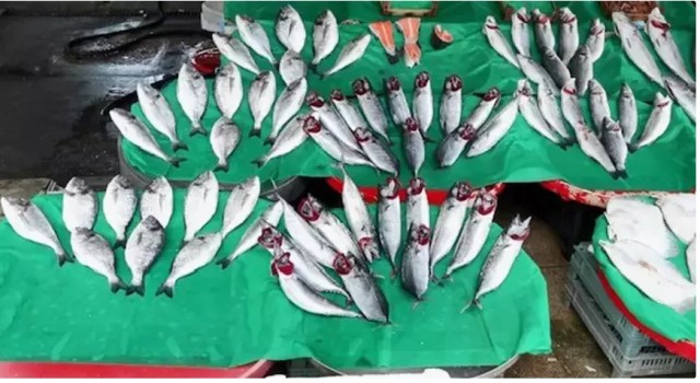 Market Zincirinde Skandal İddia: Çöpe Giden Balıklar El Altından Satılıyor