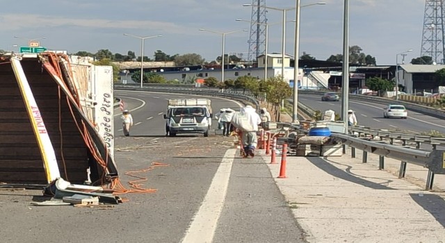 Otoyolda kaza: Binlerce arı zor anlar yaşattı