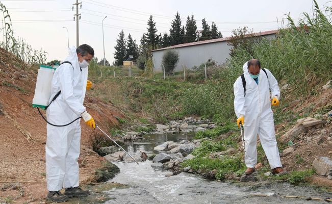 Adana’da sivrisinek ve haşereyle mücadele