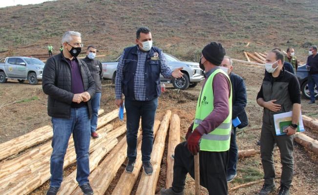 Kozan’da yanan orman alanları devlet eli ile yeşerecek