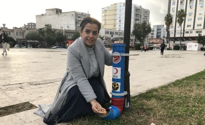 Ceyhan’da sokak hayvanlarına 500 kilo mama