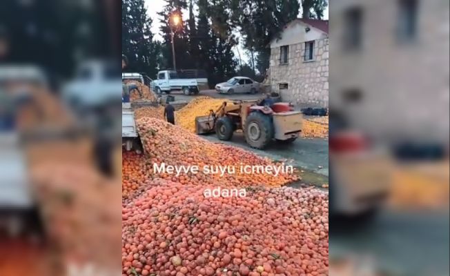 Çürümüş meyveler meyve suyu mu olacaktı?