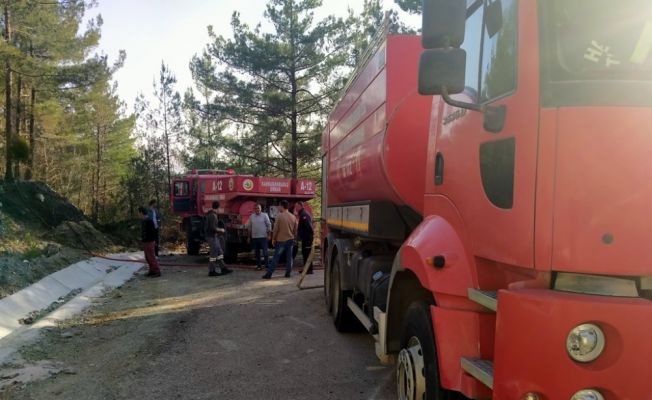 Hatay’ın Erzin ilçesinde orman yangını