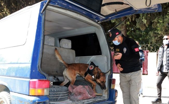 Okul önlerinde narkotik köpekli uygulama