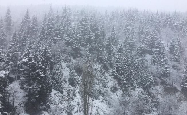 Adana’nın yüksek kesimlerinde kar yağışı etkili oldu